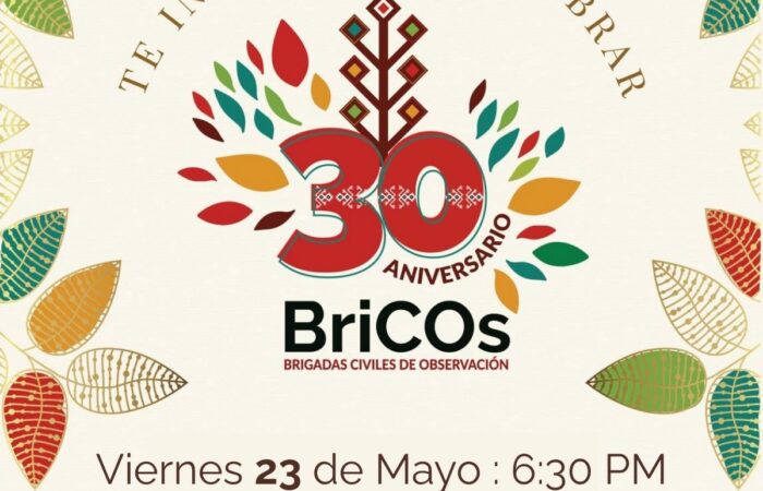 BRICOs_30ans