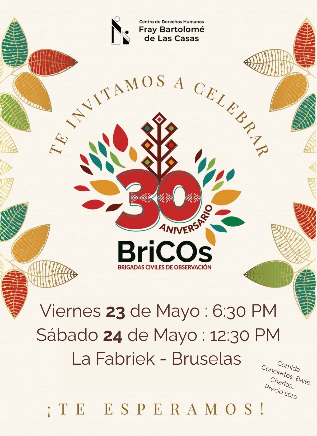 BRICOs_30ans